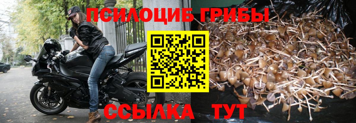 Галлюциногенные грибы GOLDEN TEACHER Дубна